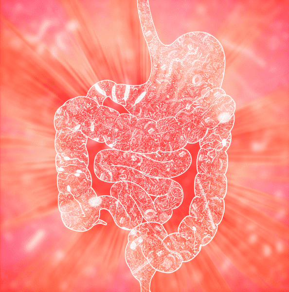 microbiome diversity