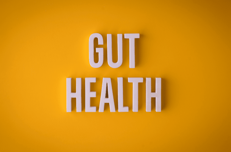 gut health