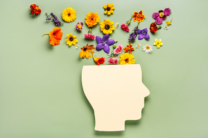 gut microbiome and mental health
