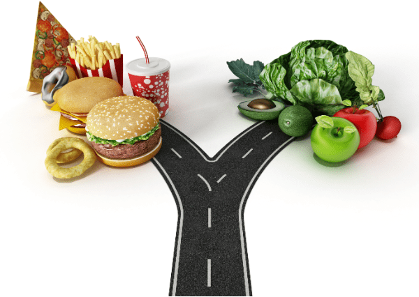best foods to promote healthy gut bacteria